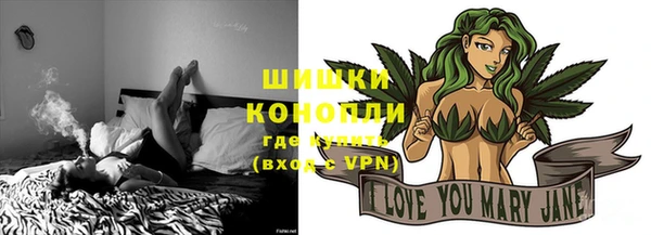 гидра Сосновый Бор
