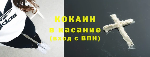 хмурый Сосновка
