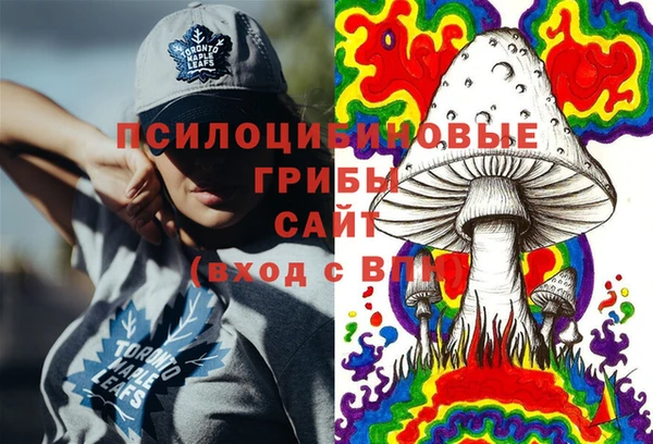 хмурый Сосновка