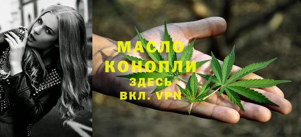 гидра Сосновый Бор