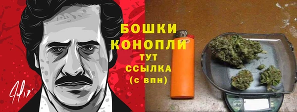 гидра Сосновый Бор