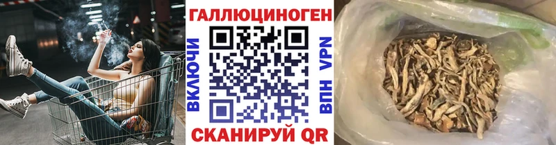 Купить закладки  Павлово  Псилоцибиновые грибы Psilocybine cubensis 